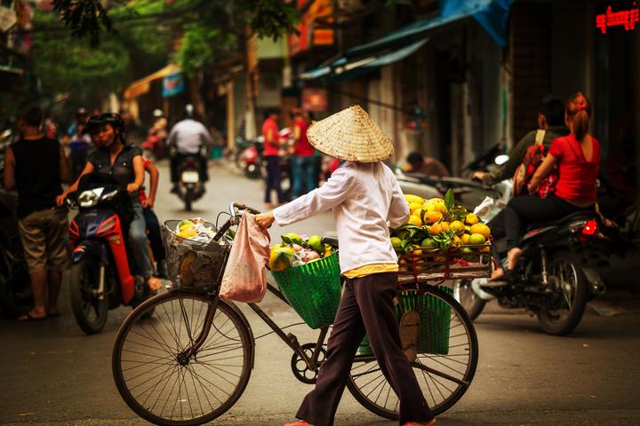 Hotspot Matrix: Biến Phương Oanh diện set đồ 50 thành cơ hội marketing đột phá