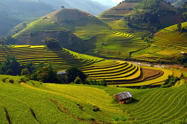 Nội dung: Trong mùa hè nóng bỏng, xu hướng