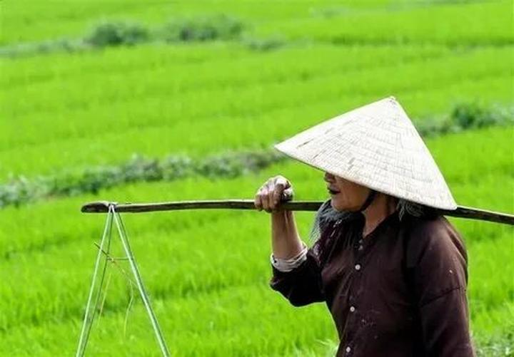 Triệu Lộ Tư cắt phăng mái tóc - Cảm hứng video marketing từ Hotspot Matrix