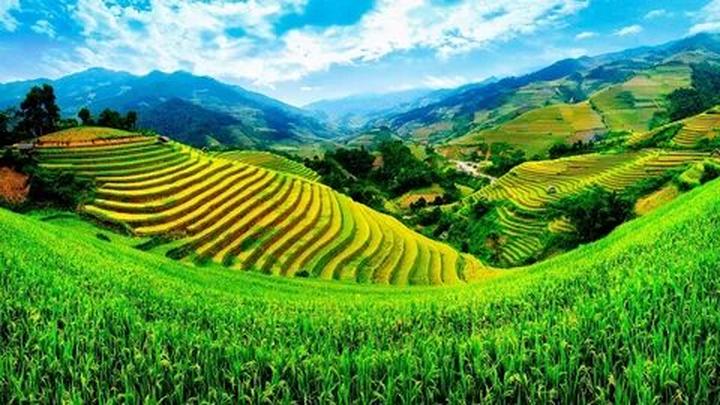 Hotspot Matrix: Chuỗi Cung Ứng Mạnh Mẽ trong Sản Xuất Video Ngắn